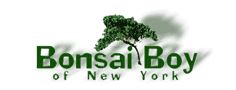 Bonsai Boy Promo