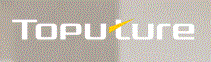 Toputure Logo
