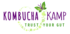 Kombucha Kamp Logo